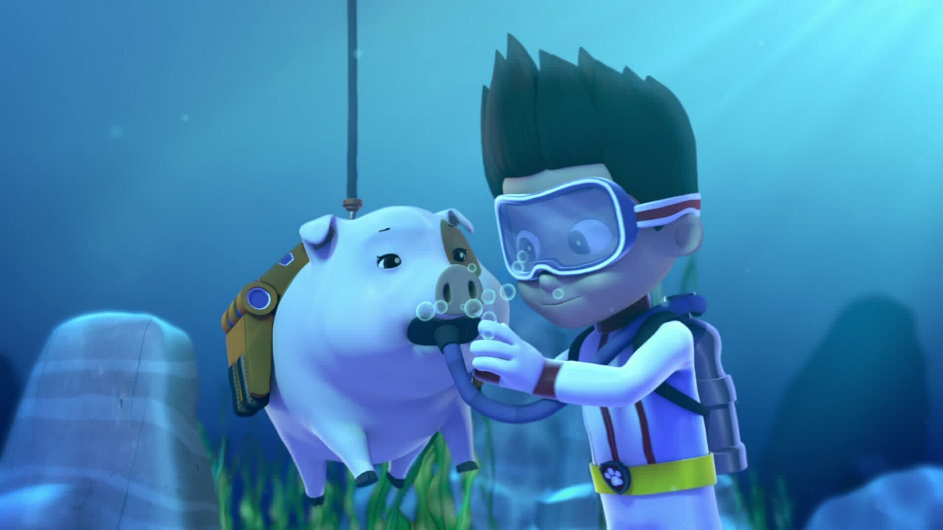 Le festival de la confiture / Le cochon surfeur