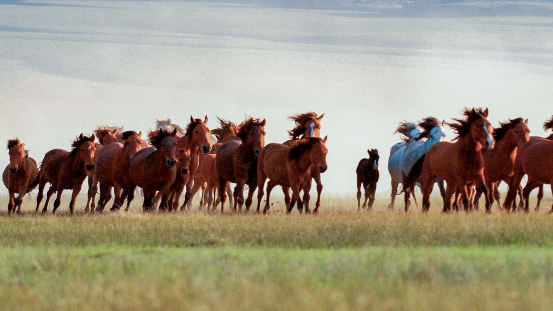 Mai-juin : un équilibre fragile
