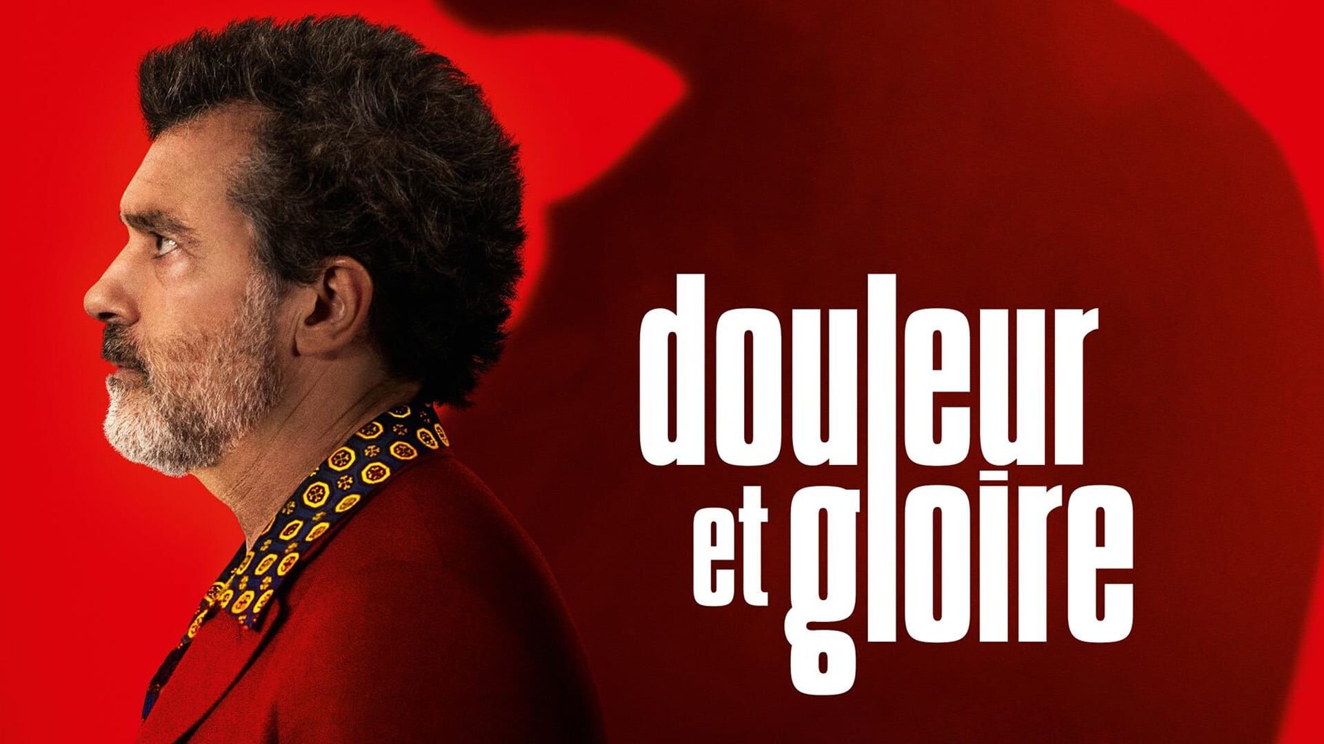 Douleur et gloire