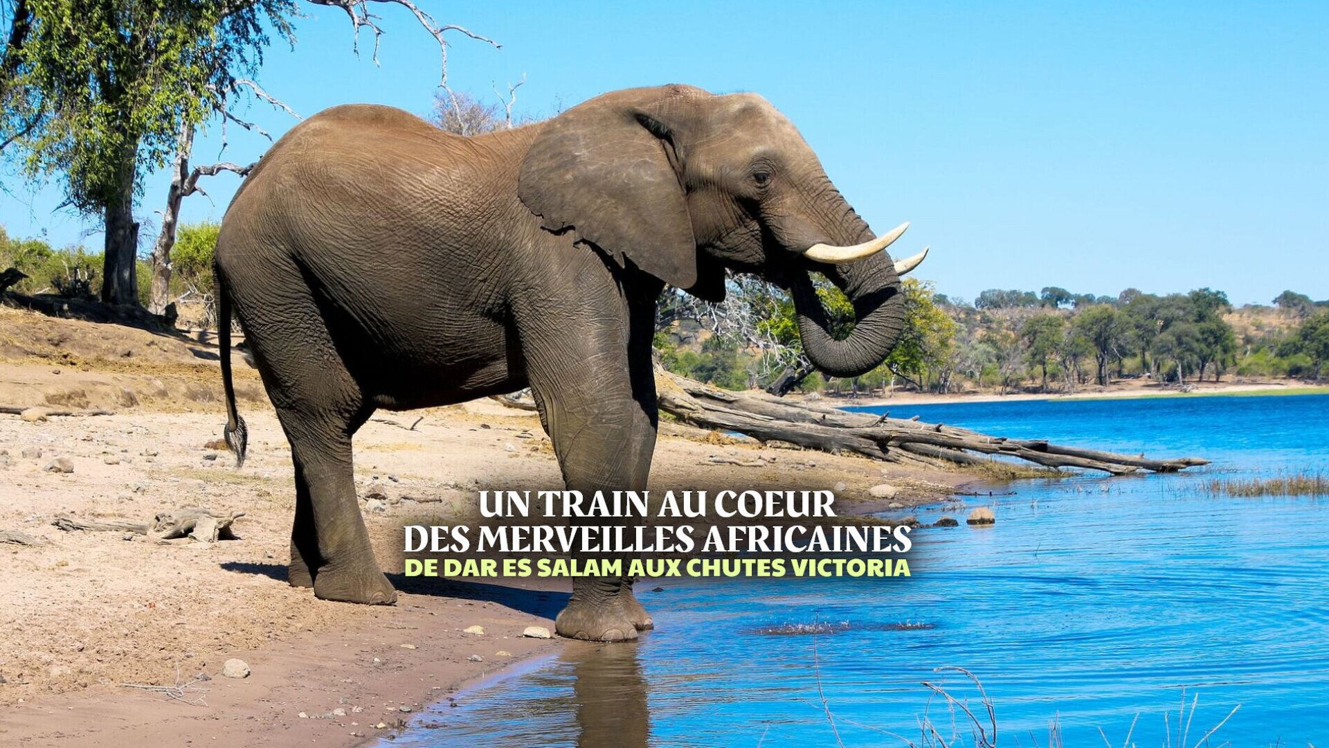 Un train au coeur des merveilles africaines : De Dar es Salam aux chutes Victoria
