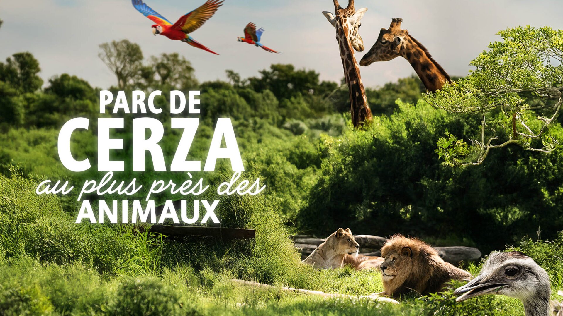 Parc de Cerza, au plus près des animaux