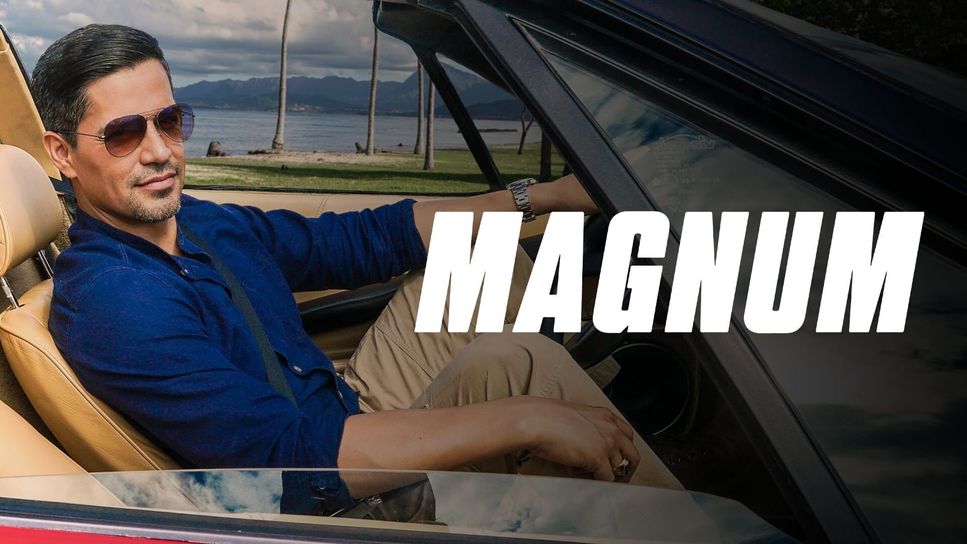 Thomas Magnum, enquêteur privé