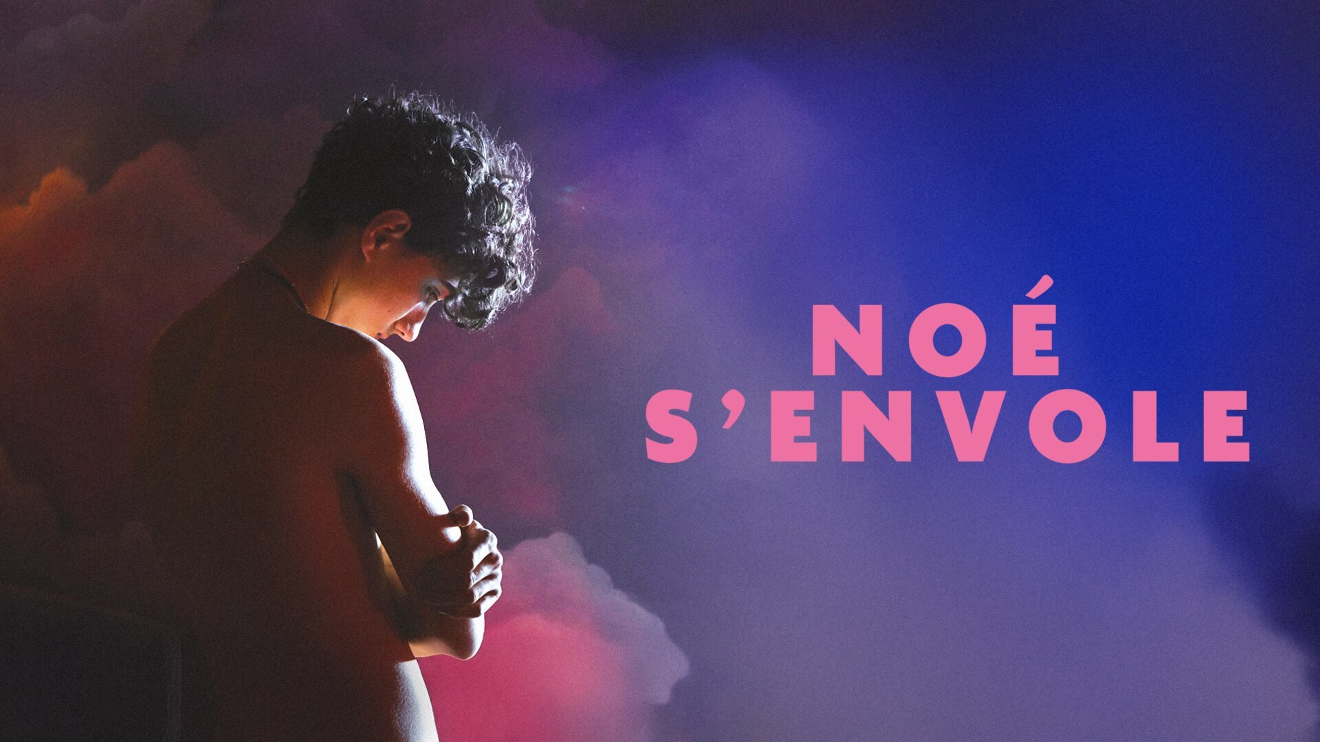 Noé s'envole