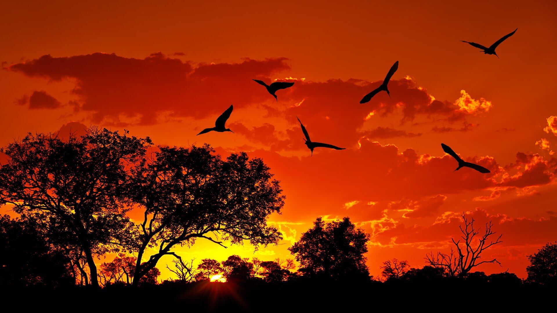 Los Héroes Invisibles.