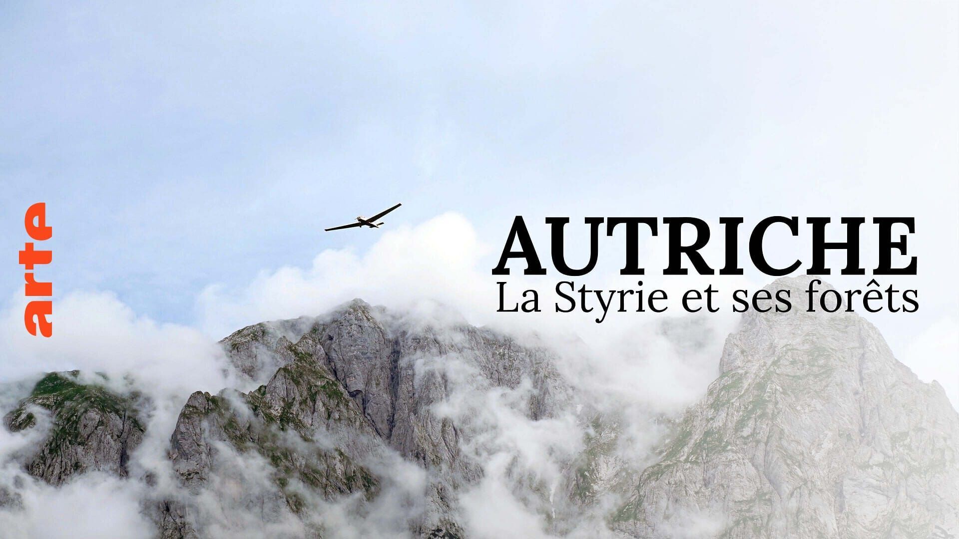 La Styrie et les forêts