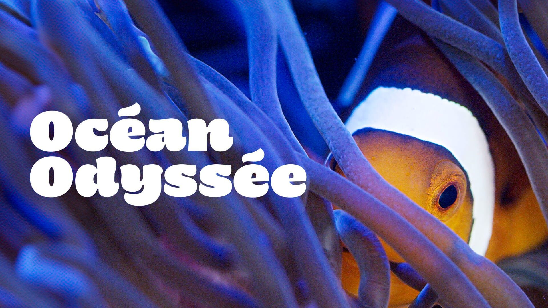 Océan Odyssée