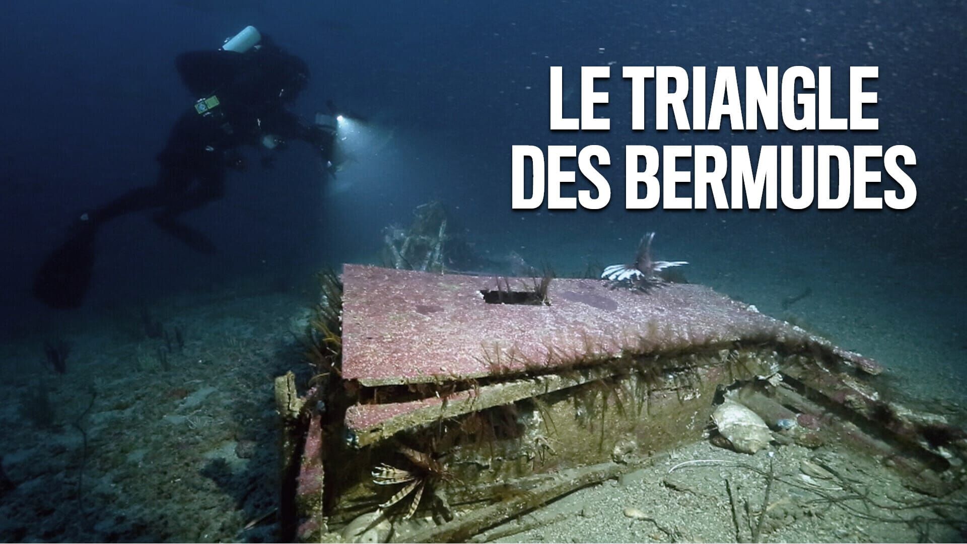 Triangle des Bermudes : l'énigme révélée