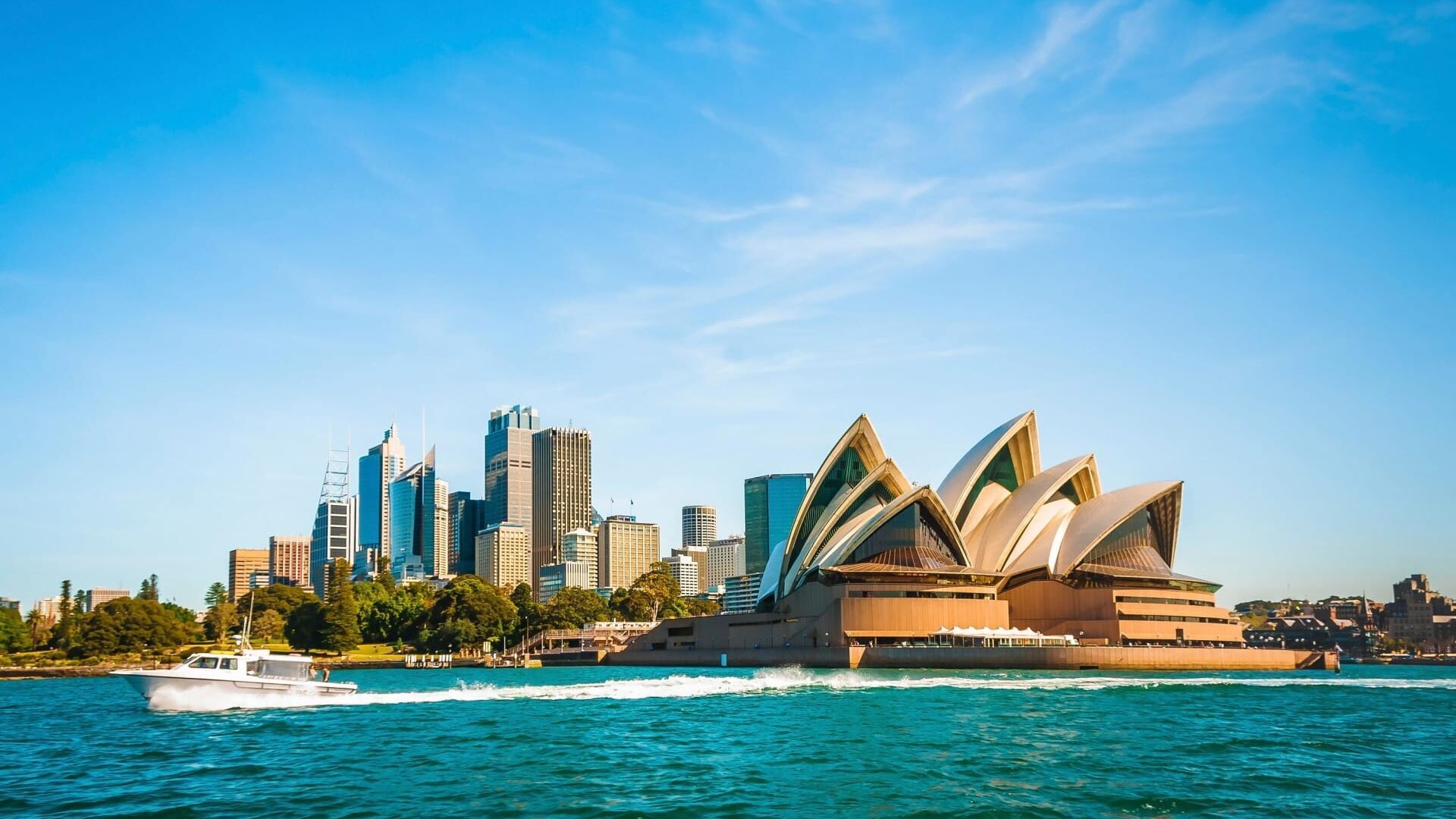 Australie / Bush africain