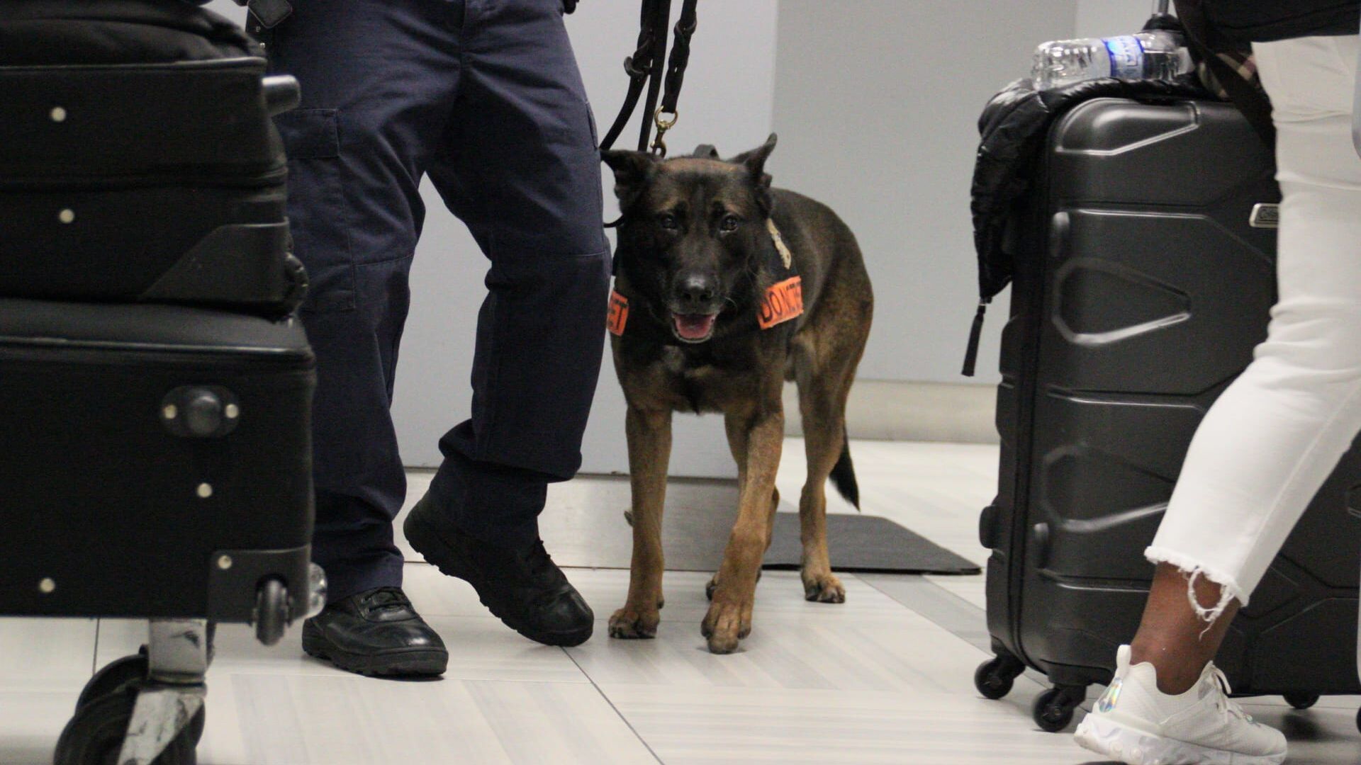 Saisie à sept chiffres