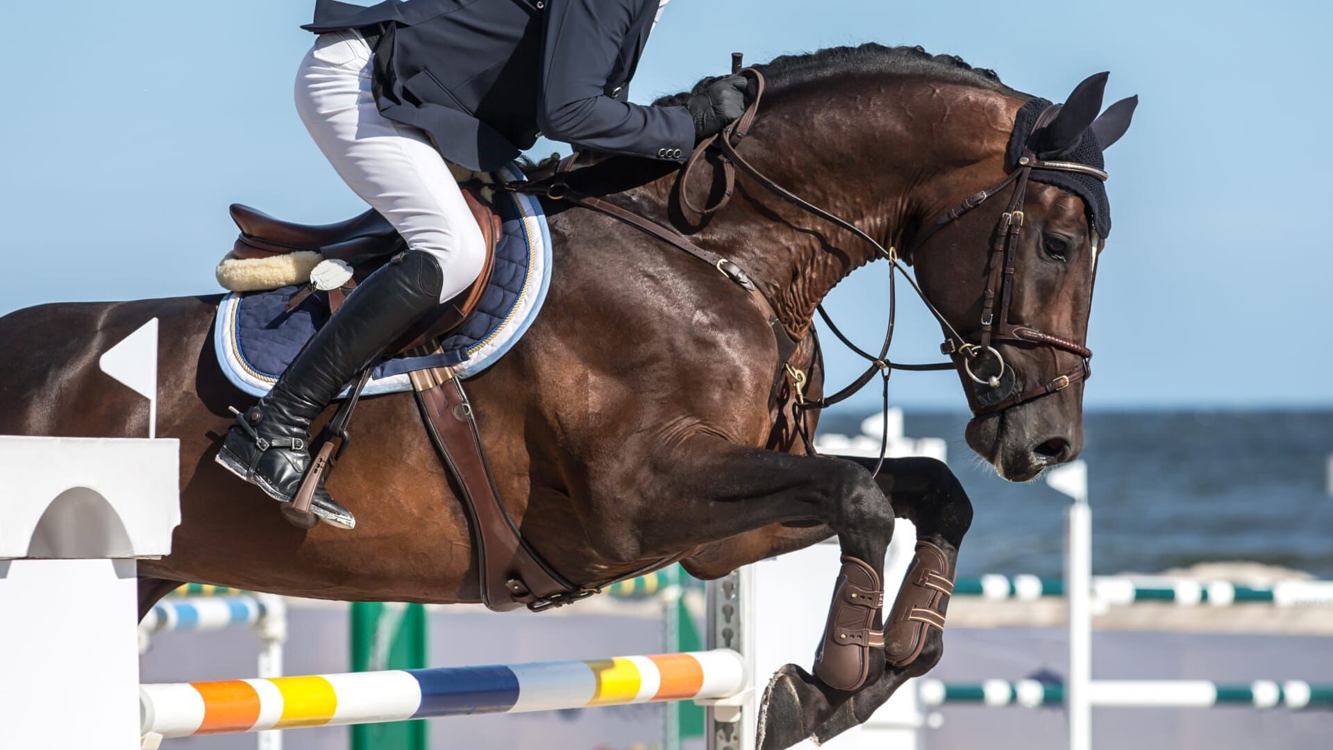 Equitation : Jumping international de Dinard