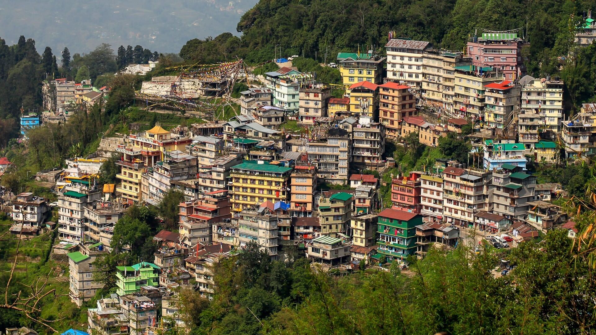 Working with nature, these citizens are making a difference