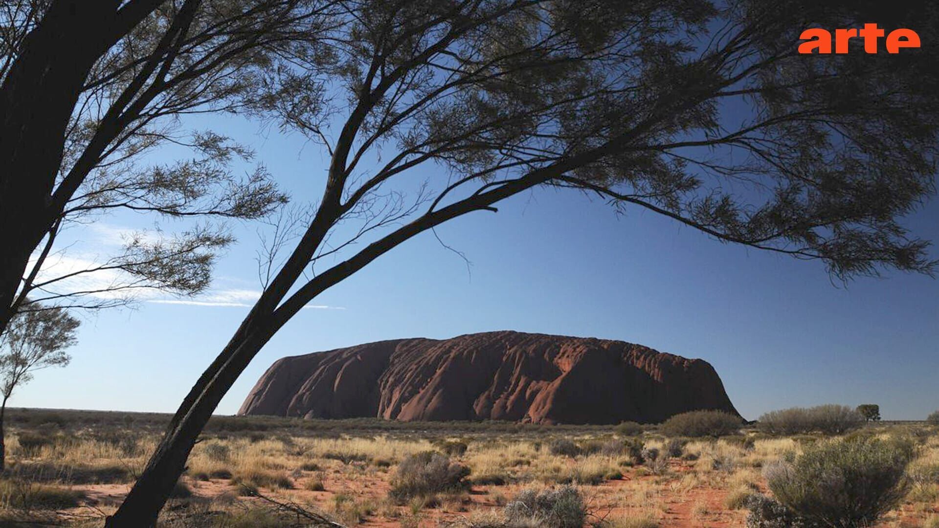 L'Océanie, terre du Pacifique