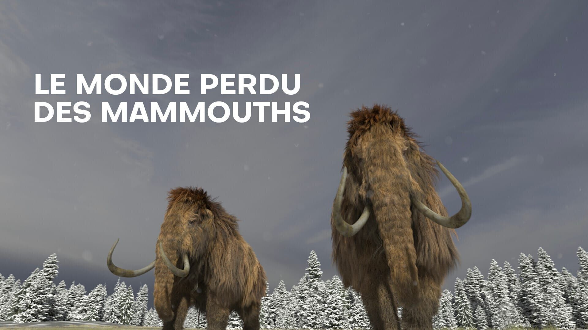 Le monde perdu des mammouths