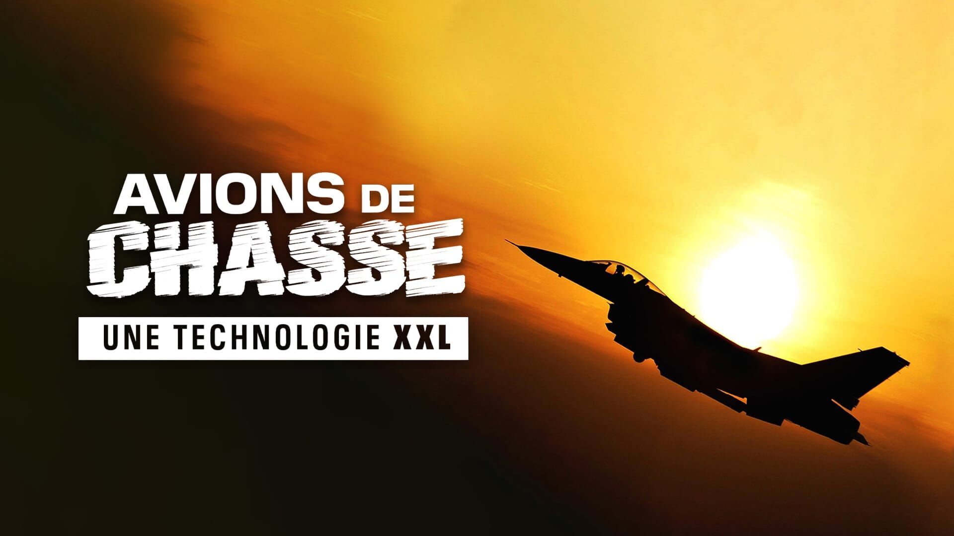 Avions de chasse : une technologie XXL