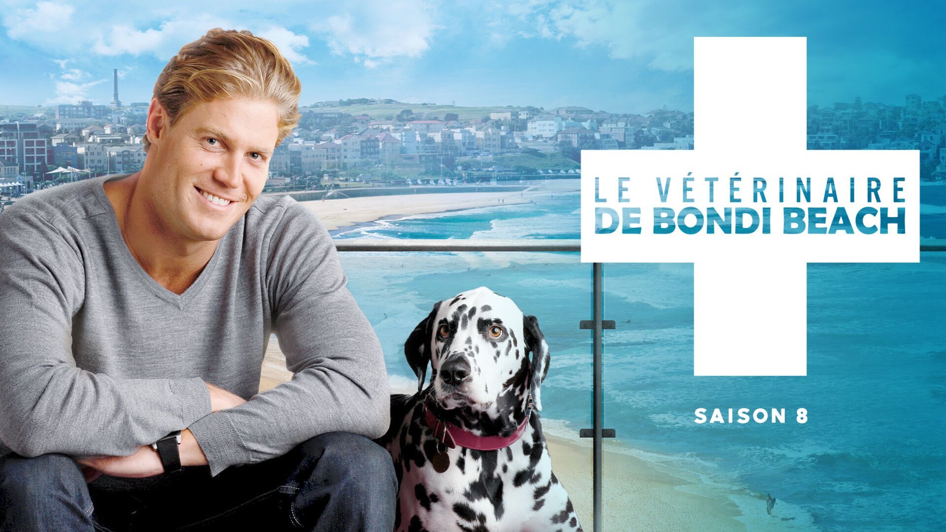 Le vétérinaire de Bondi Beach