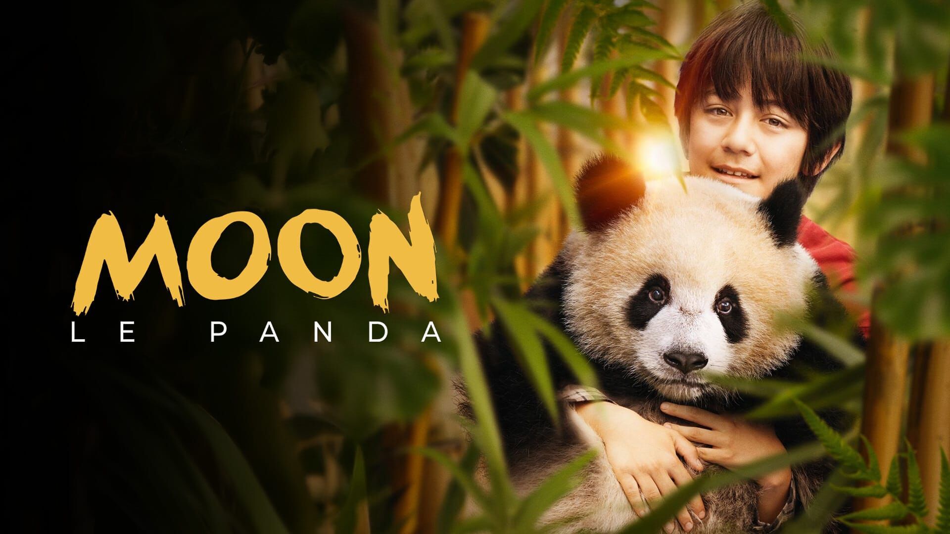 Moon le panda