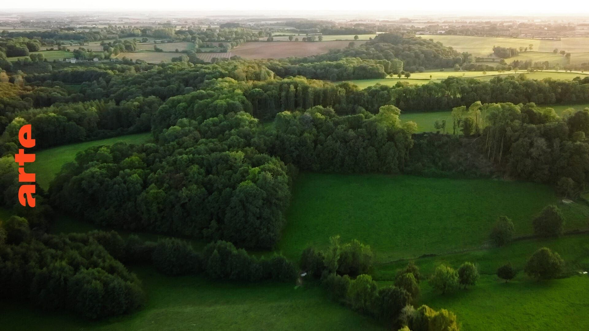 Redécouvrir le bocage