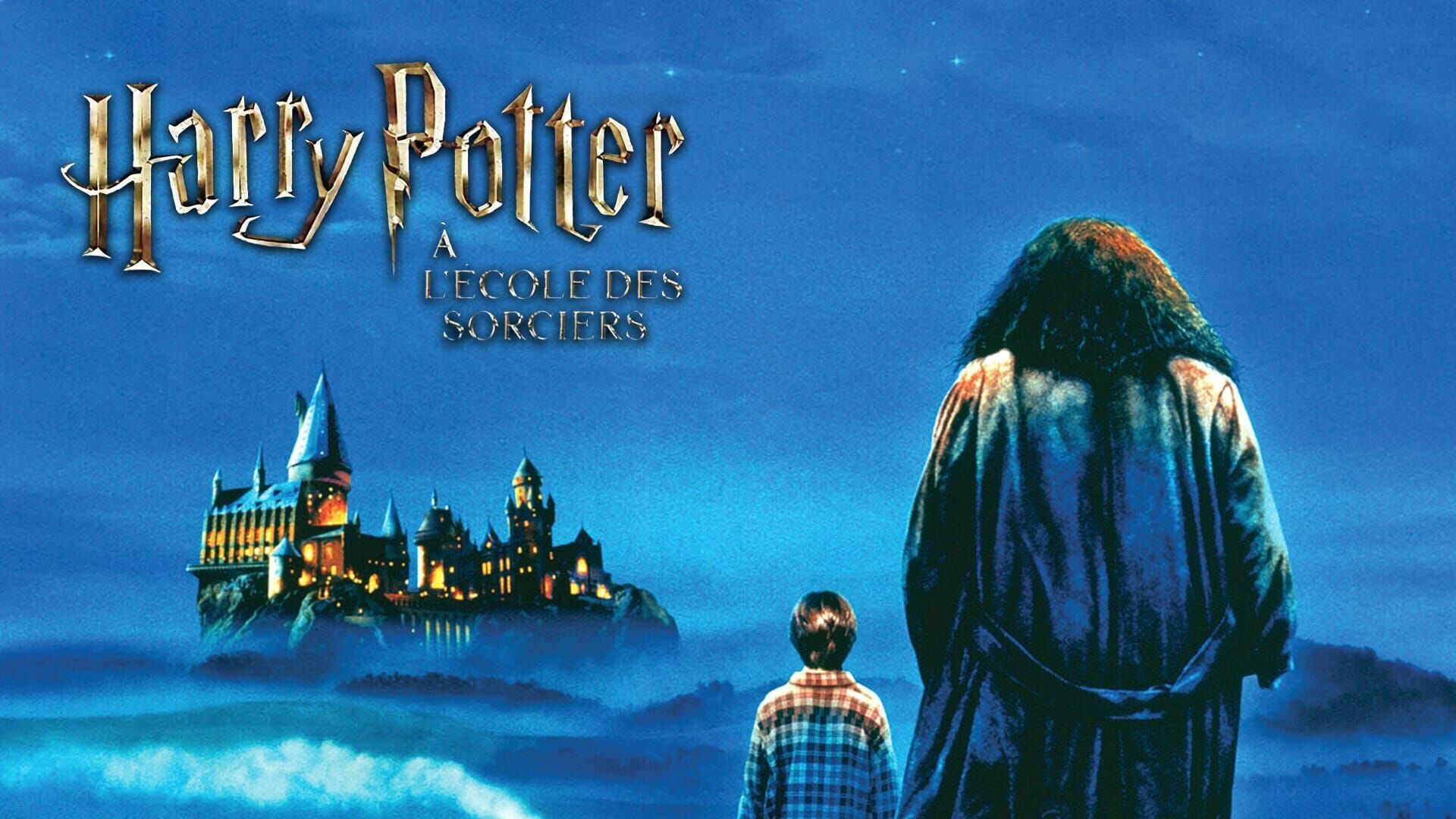 Harry Potter à l'école des sorciers