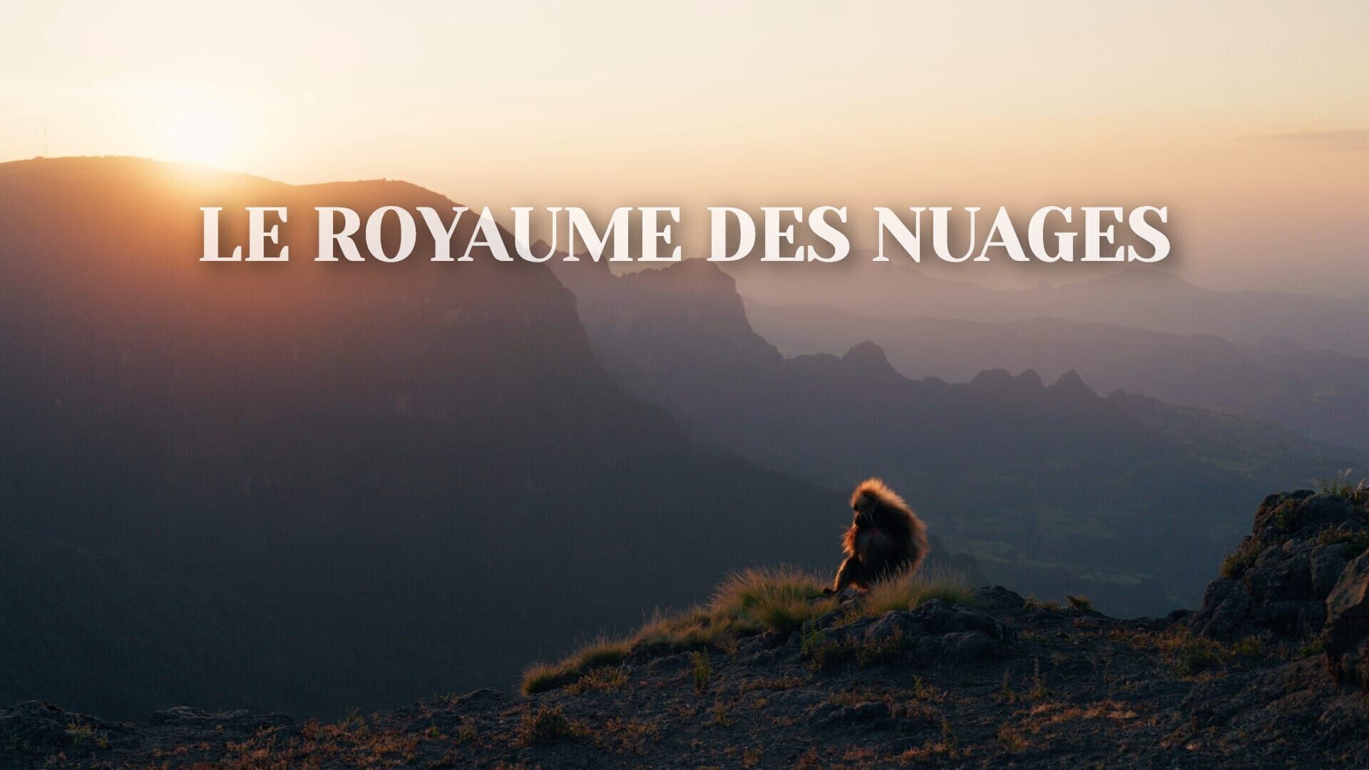 Le royaume des nuages