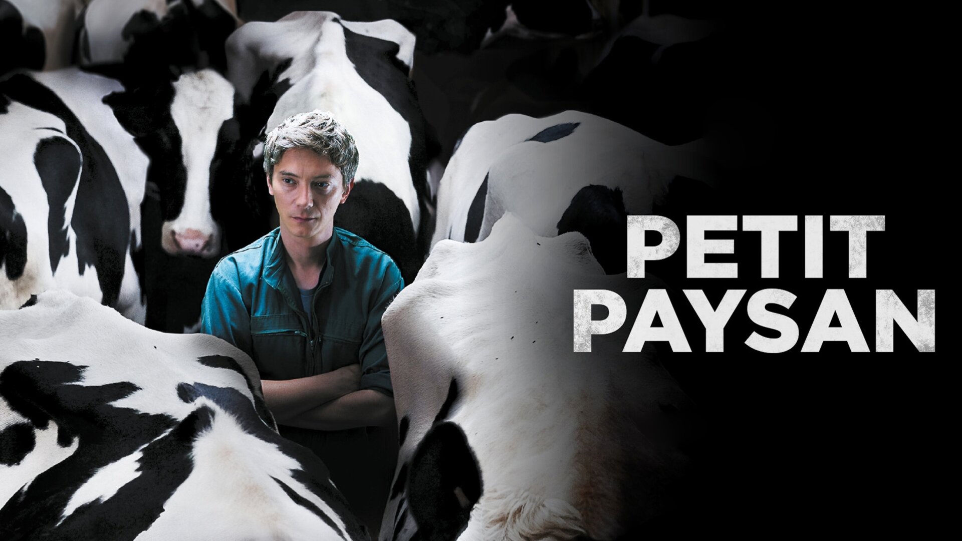 Petit paysan
