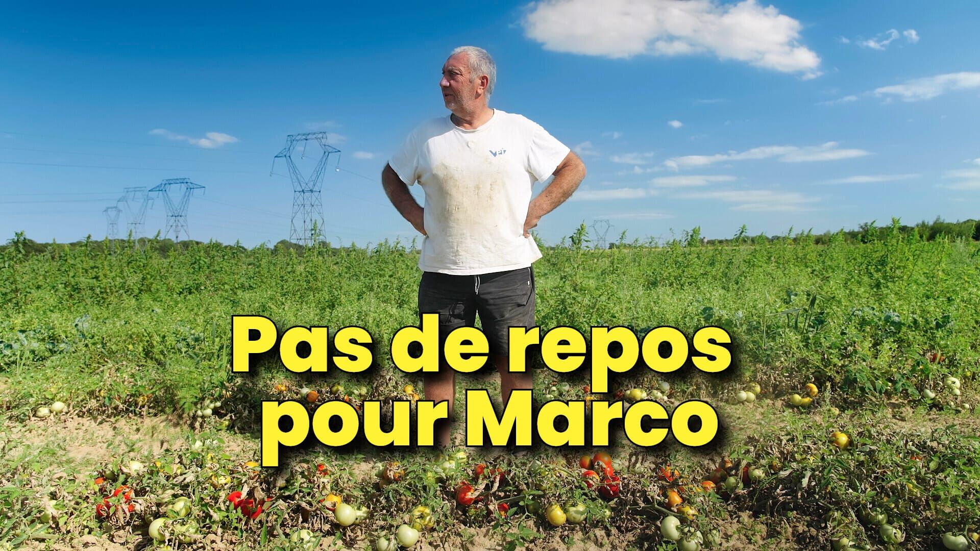 Pas de repos pour Marco