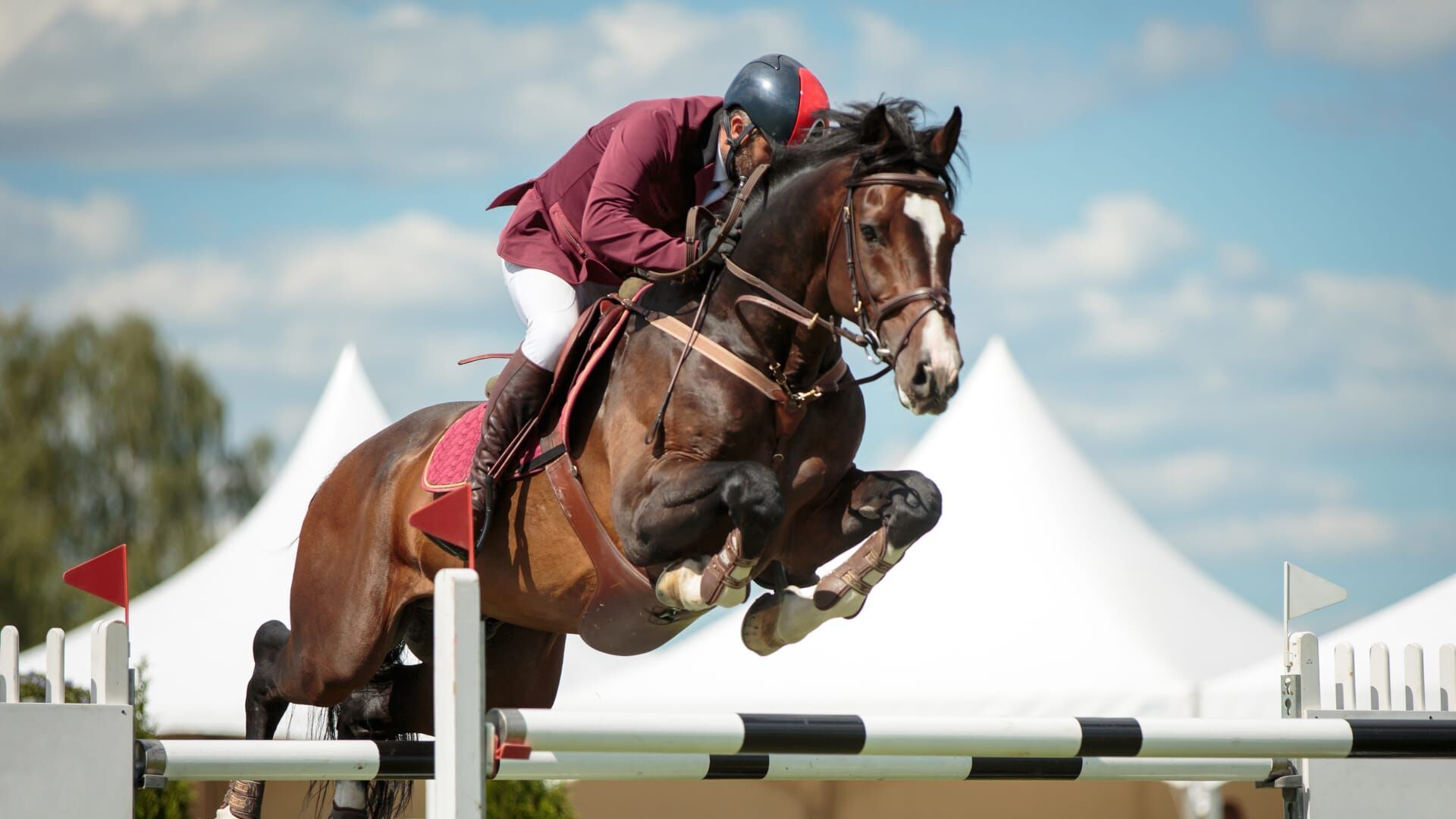 Equitation : CHI de Genève