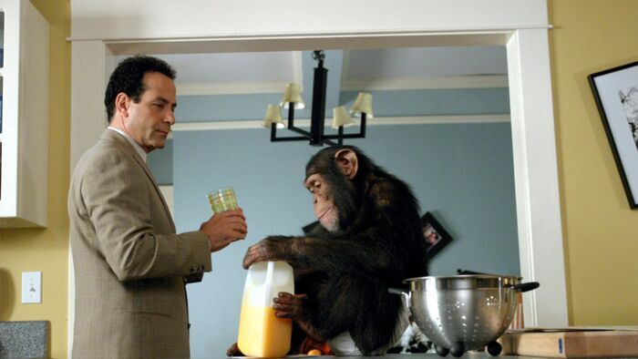 Monk et le chimpanzé