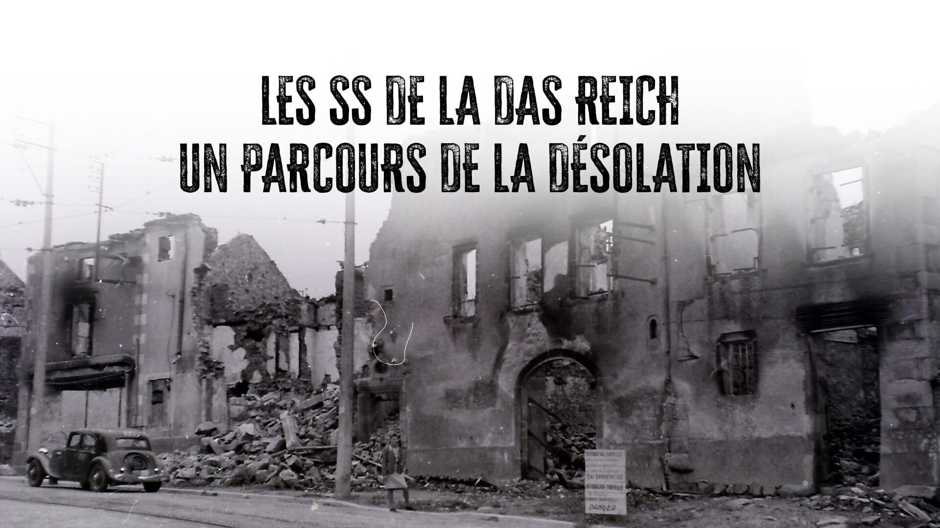 Les SS de la Das Reich, un parcours de la désolation