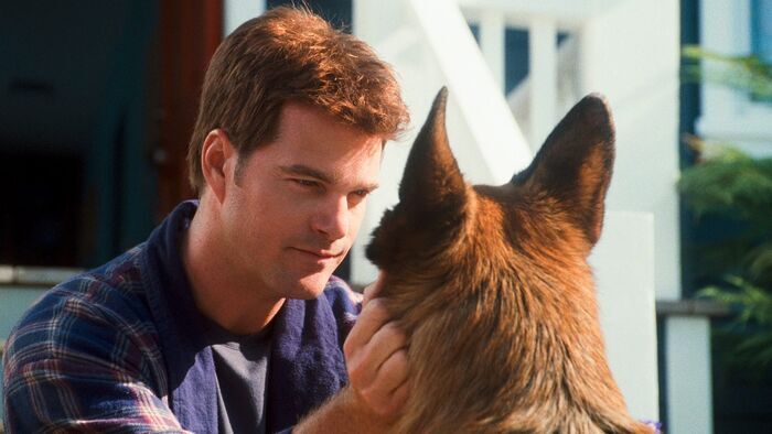 Comme chiens et chats : La revanche de Kitty Galore