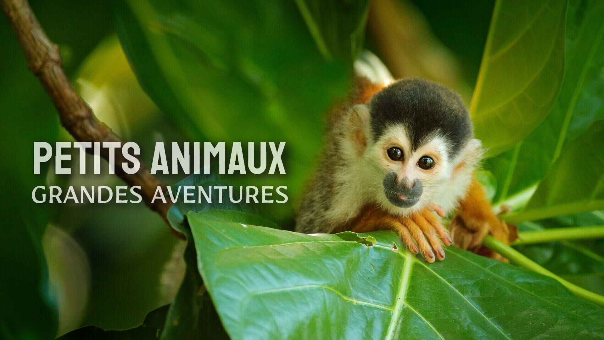 Une famille sinon rien