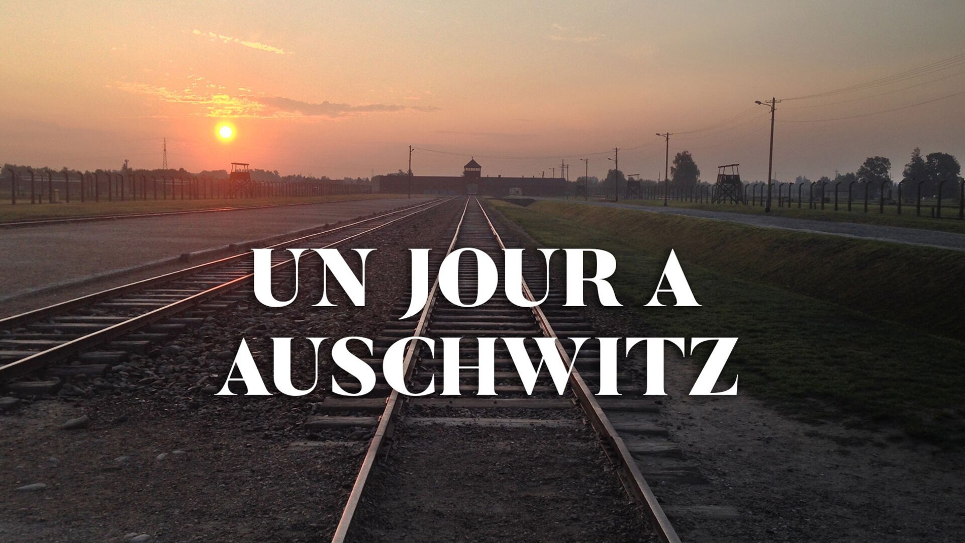 Un jour à Auschwitz