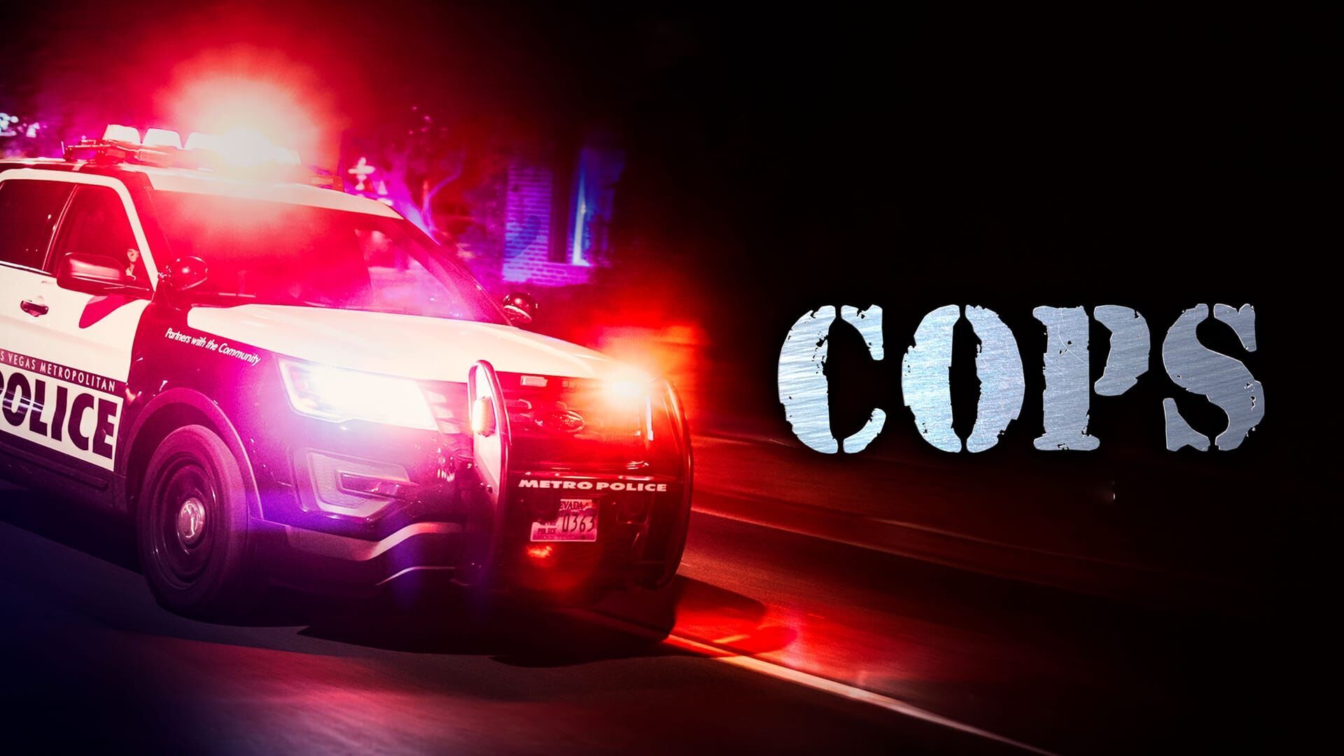 Voiture volée et armes à feu