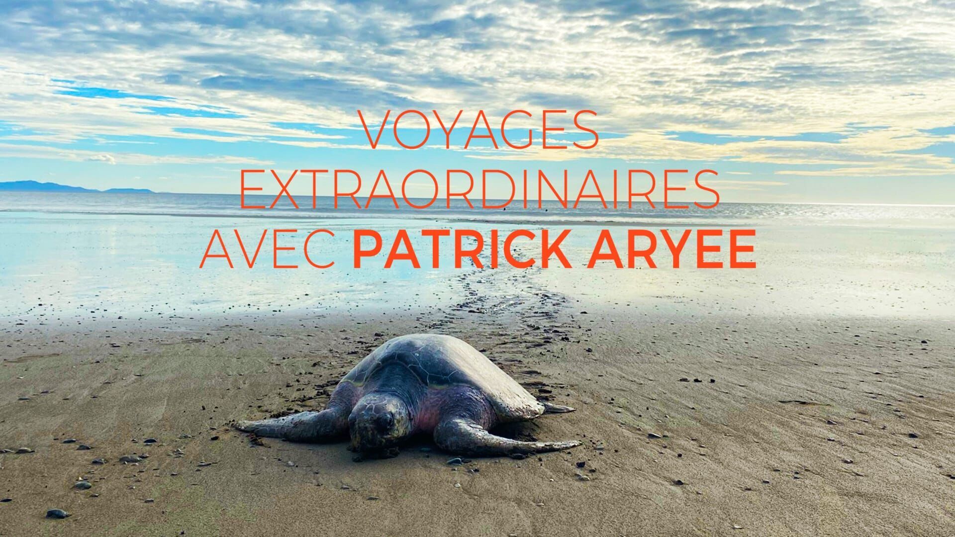 Jaguars et tortues au Costa Rica