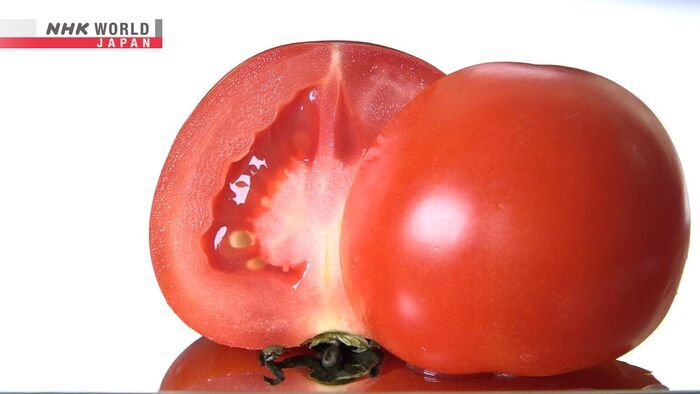Tomato