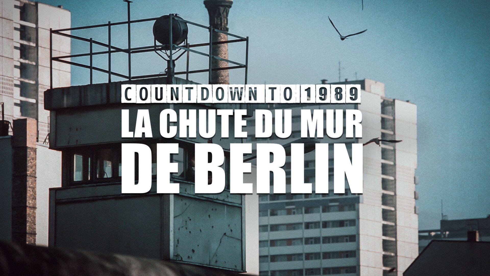 La chute du mur de Berlin