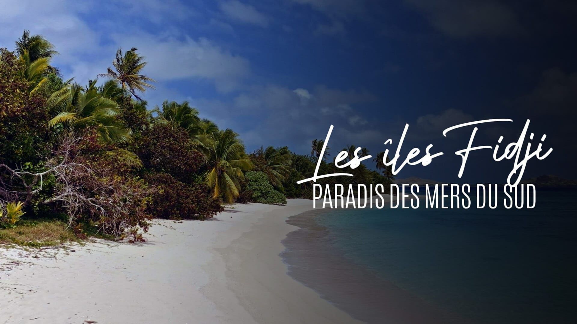 Les îles Fidji : Paradis des mers du Sud