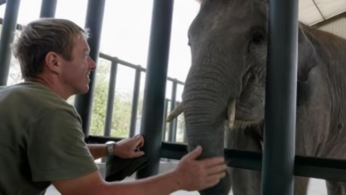 Les derniers géants de Sumatra