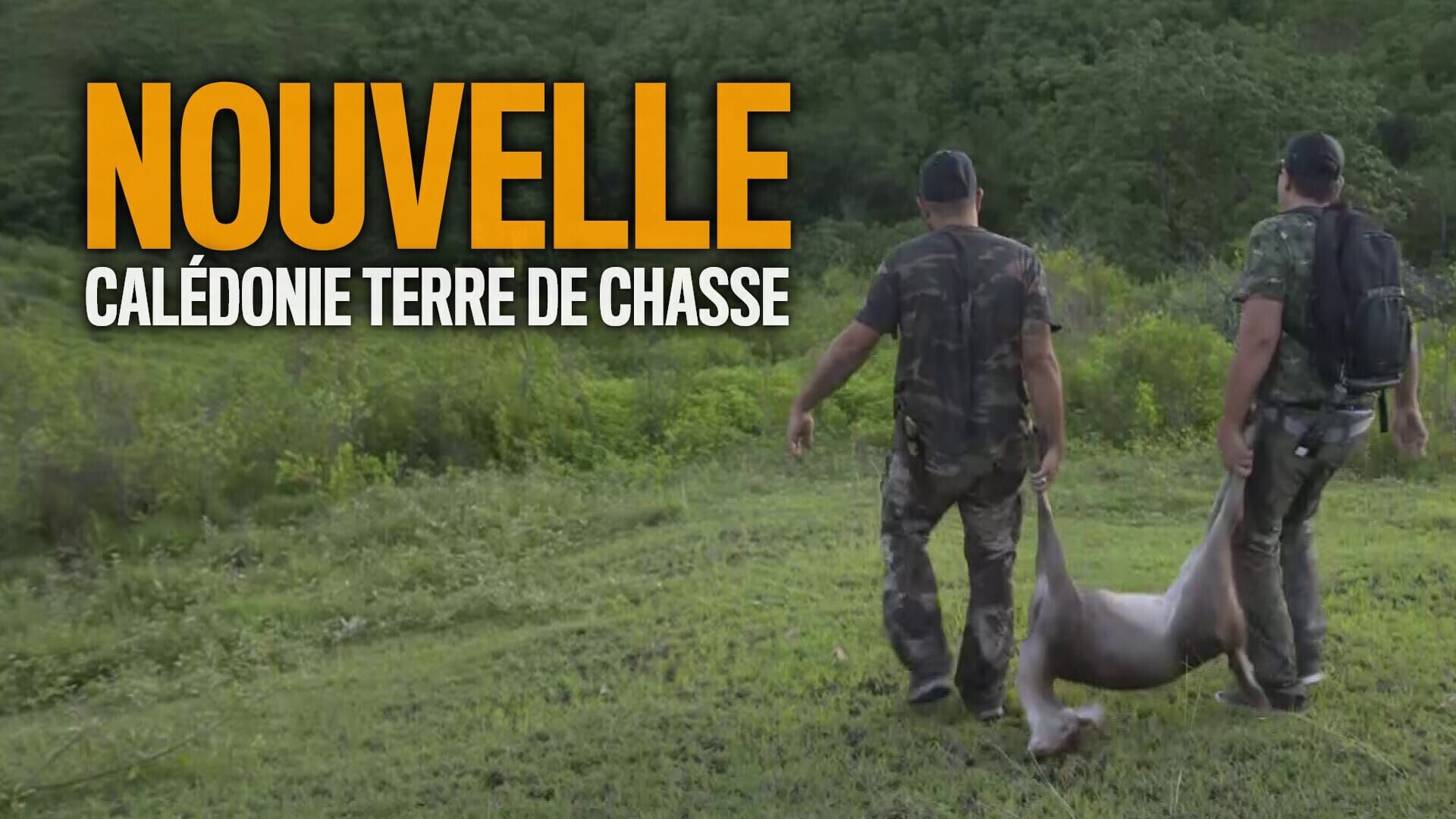 Nouvelle-Calédonie terre de chasse