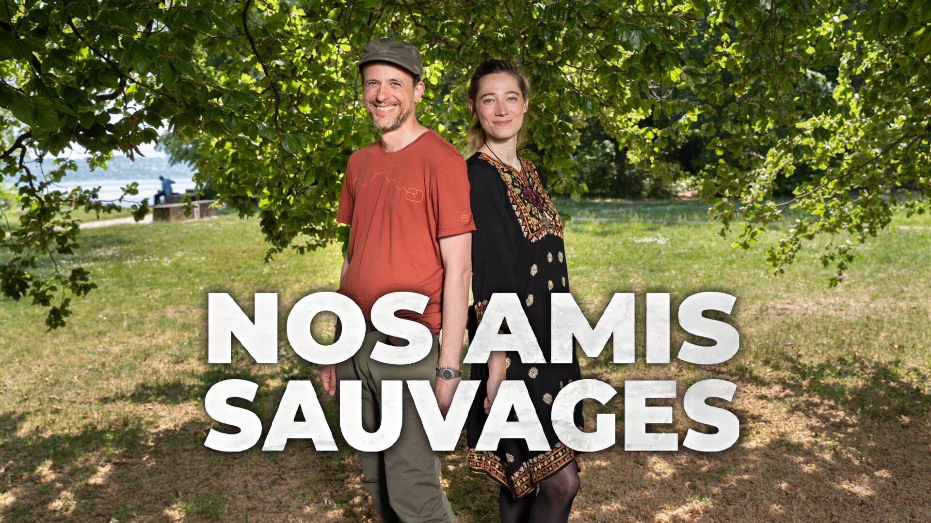 Des abeilles très sauvages