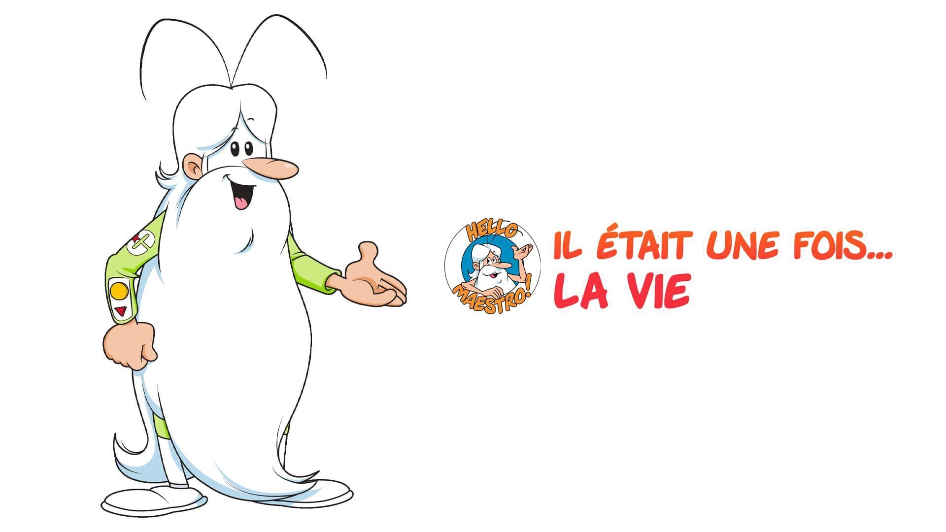 Les reins