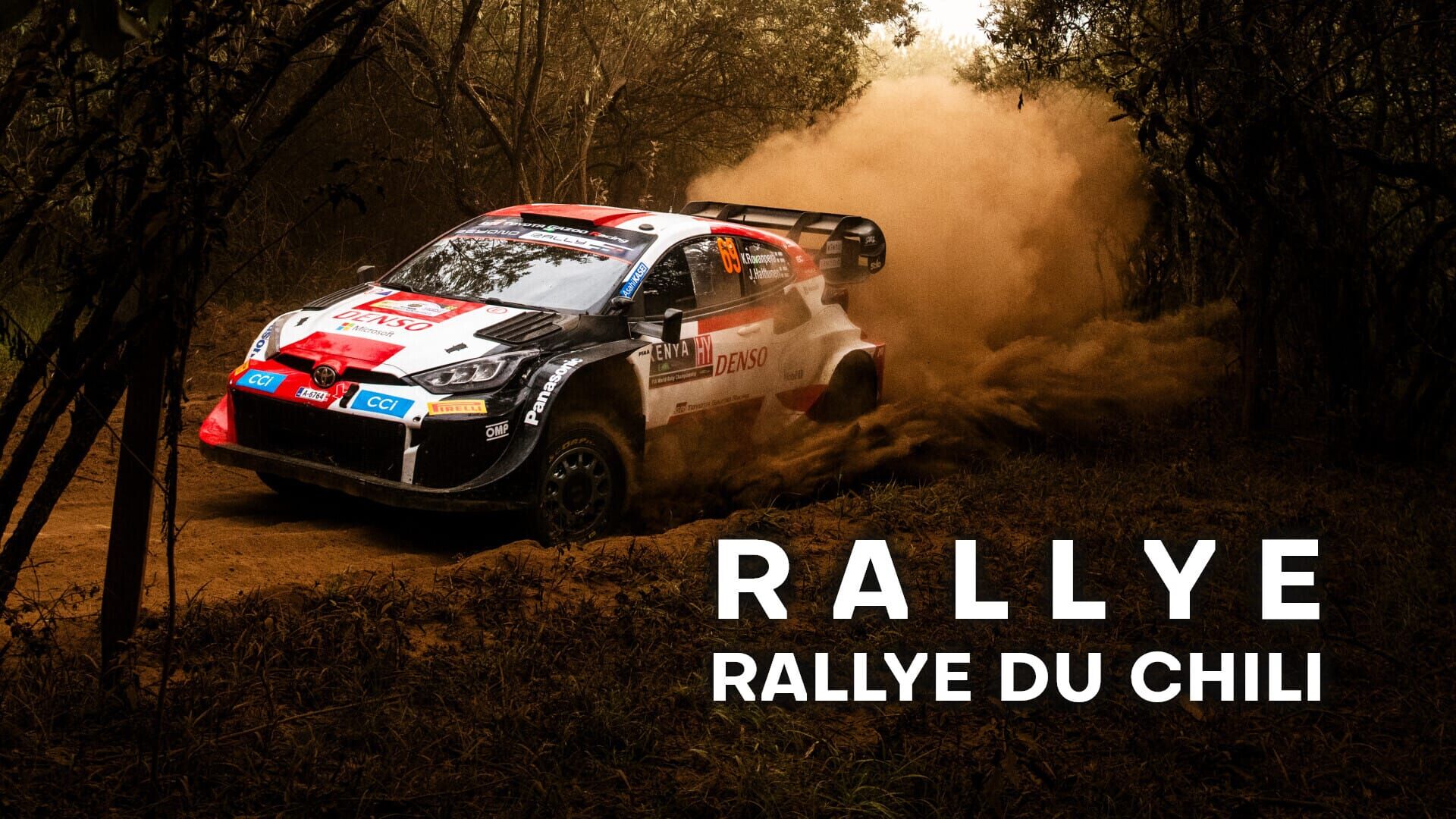 Rallye : WRC, Rallye du Chili
