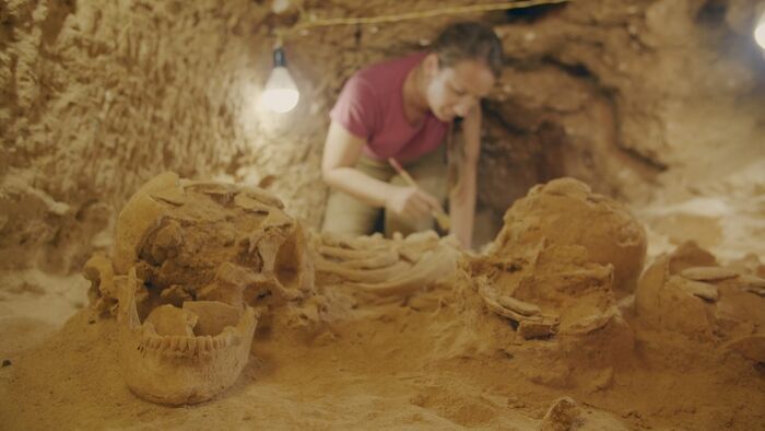 A la recherche de Cléopâtre