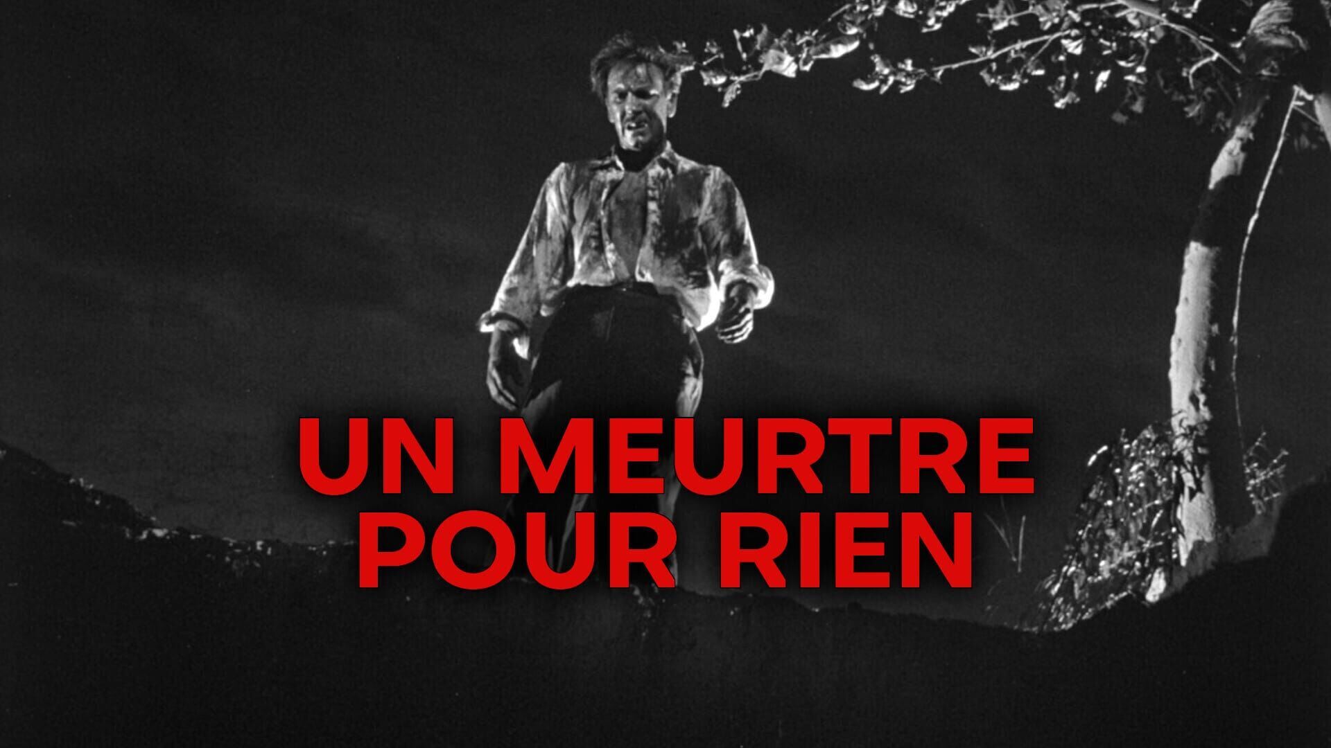 Un meurtre pour rien