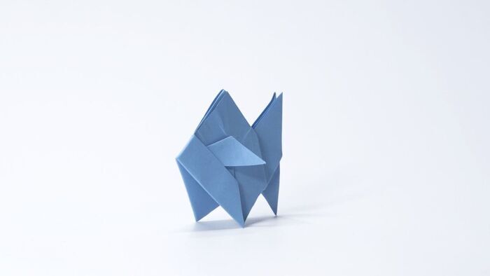Le poisson