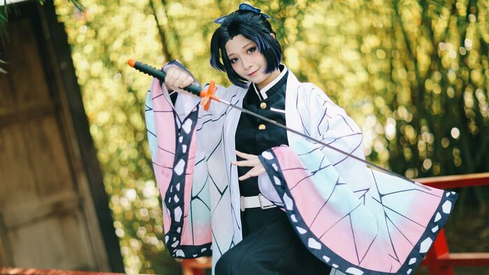 L'art du cosplay