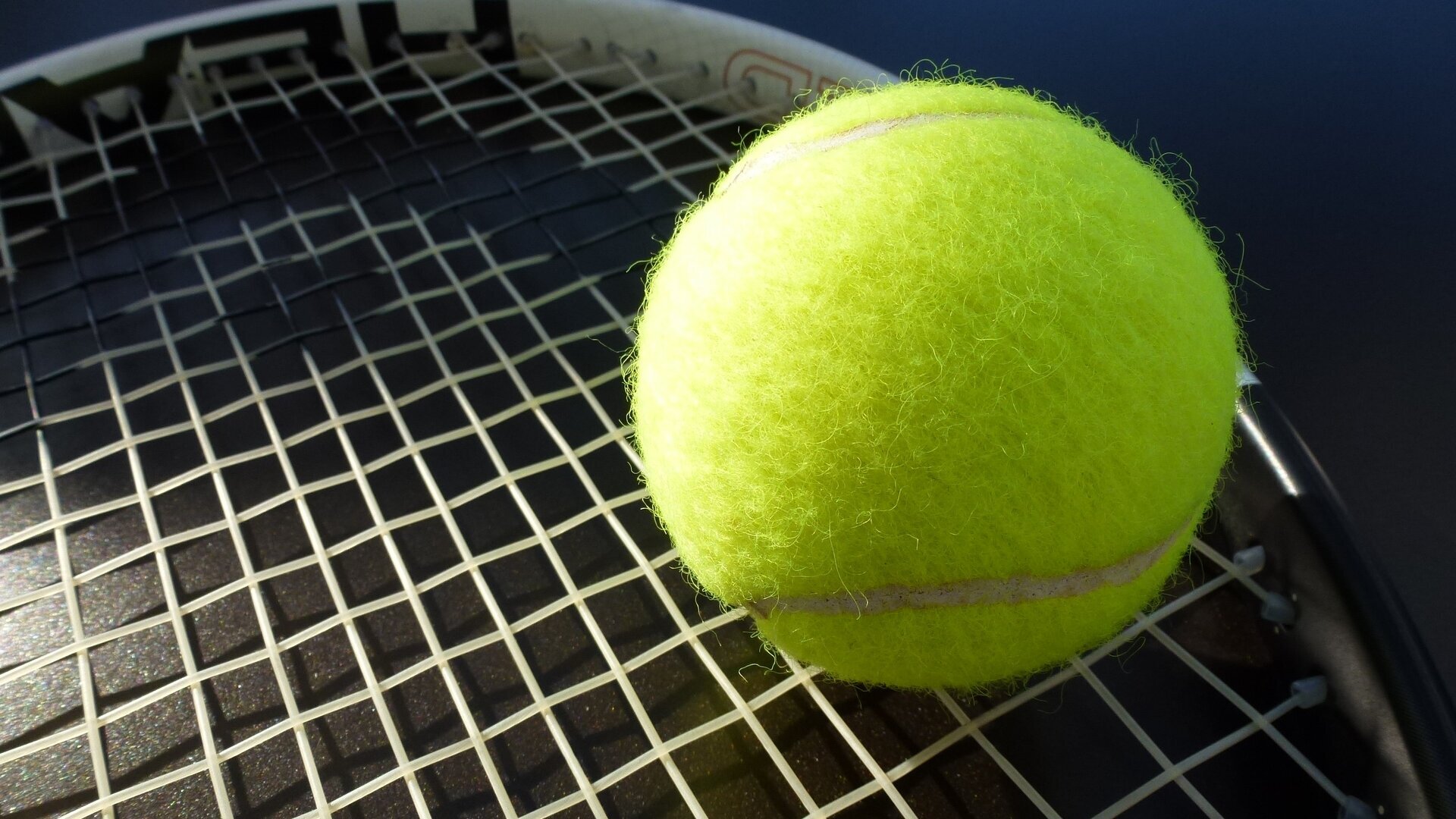 Tennis : Tournoi WTA d'Adélaïde