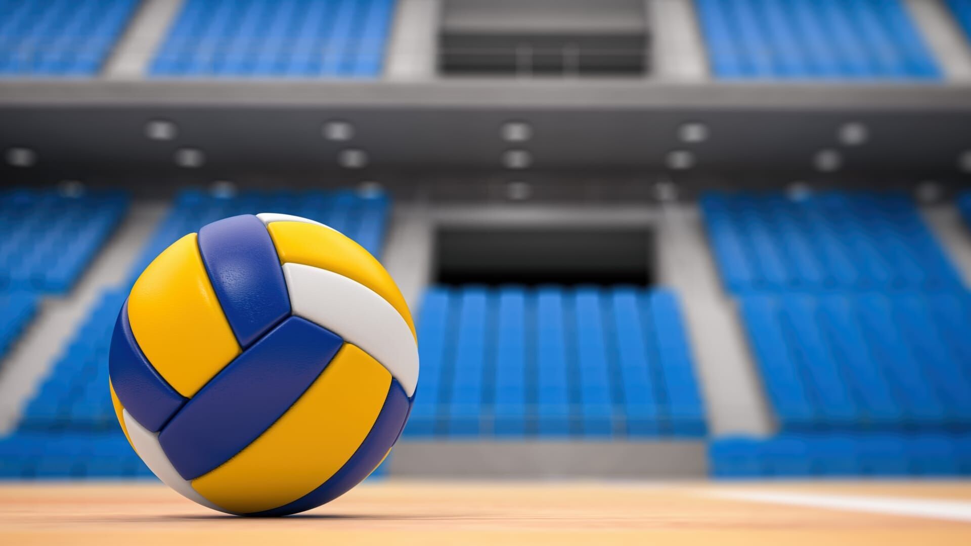 Volley-ball : le film des finales LNV