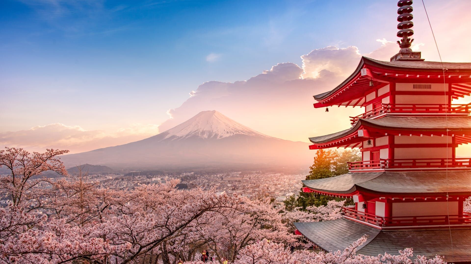 Mt. Fuji Long Trail / CULTURE