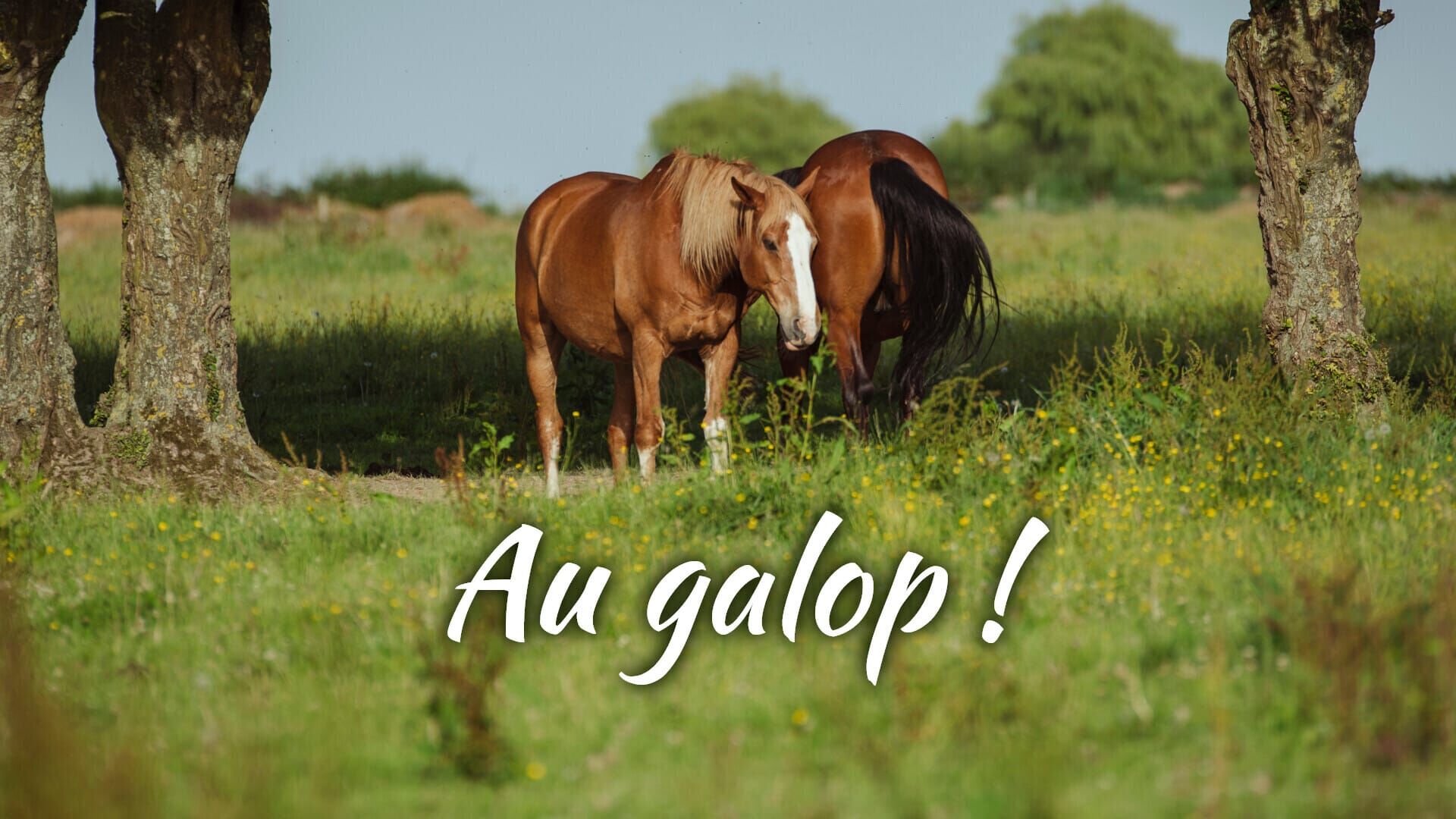 Les retrouvailles