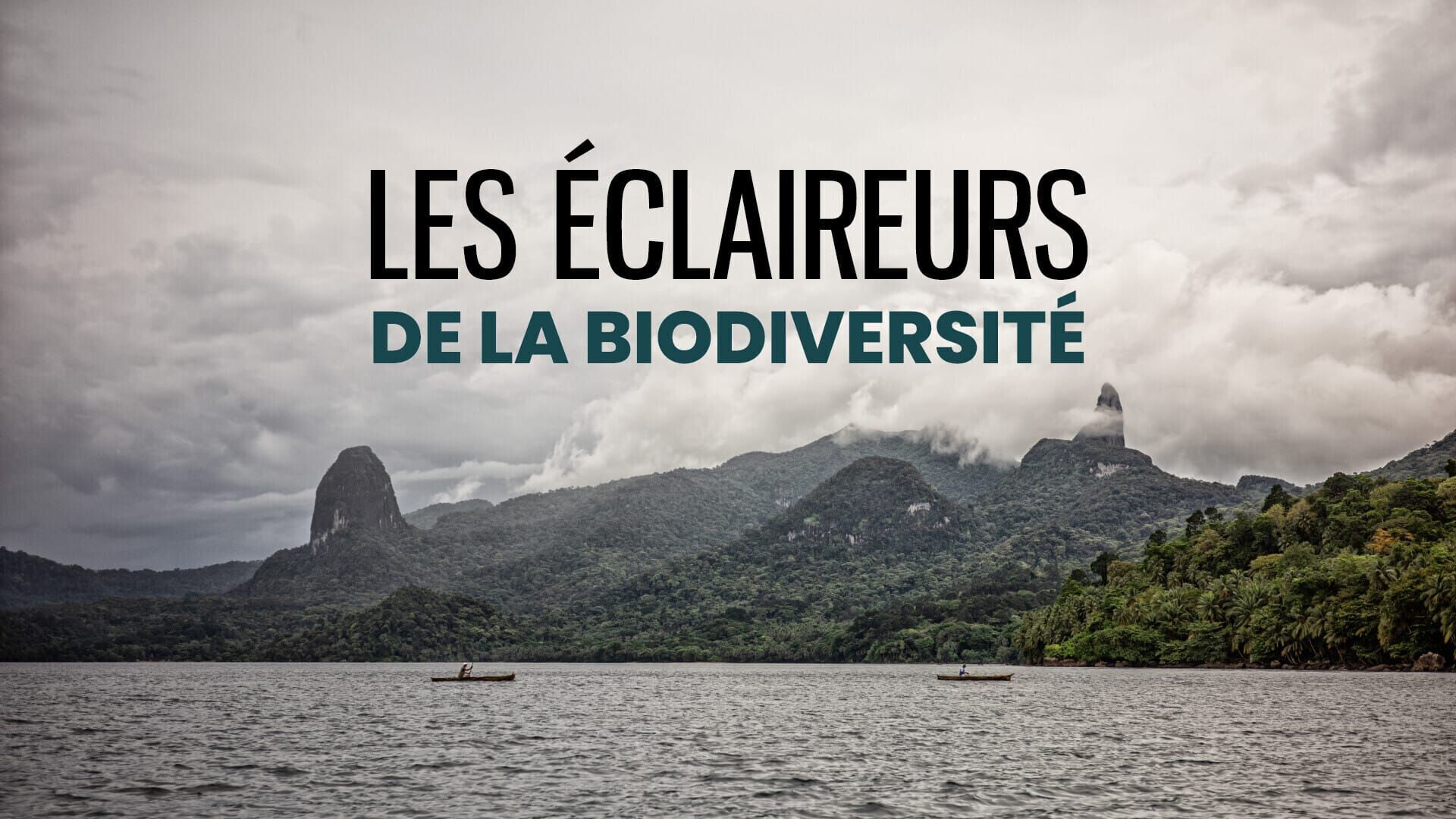 Les éclaireurs de la biodiversité